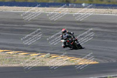 media/Apr-14-2024-SoCal Trackdays (Sun) [[70f97d3d4f]]/5-Bowl Exit (1020am)/